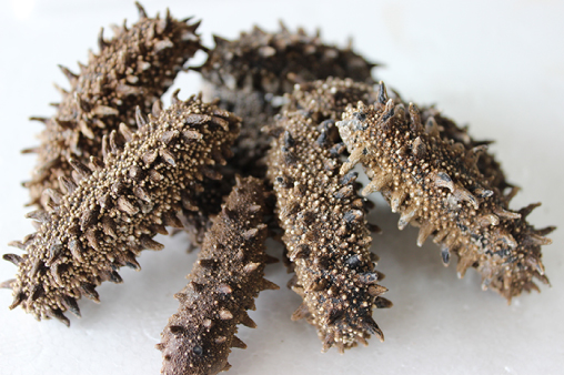 北海道産乾燥ナマコ